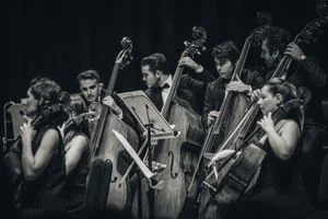 Black and white photo of a classical orchestra performing live, focusing on string musicians.