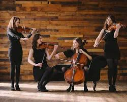 string ensemble orchestra violins playing