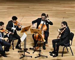 chamber music quartet playing instruments